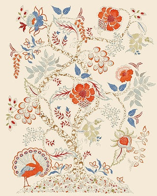 Ornamental Nature Prints