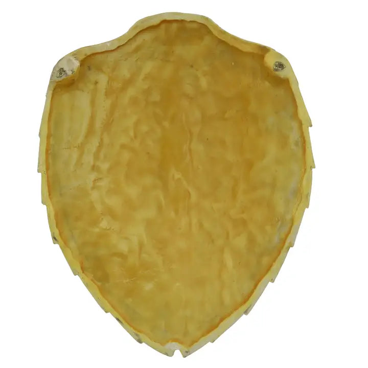 Hawksbill Resin Turtle Shell