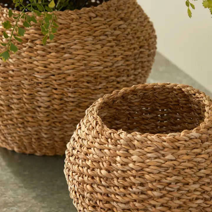 Seagrass Plant Baskets