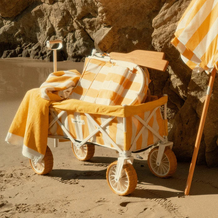 Beach Carts