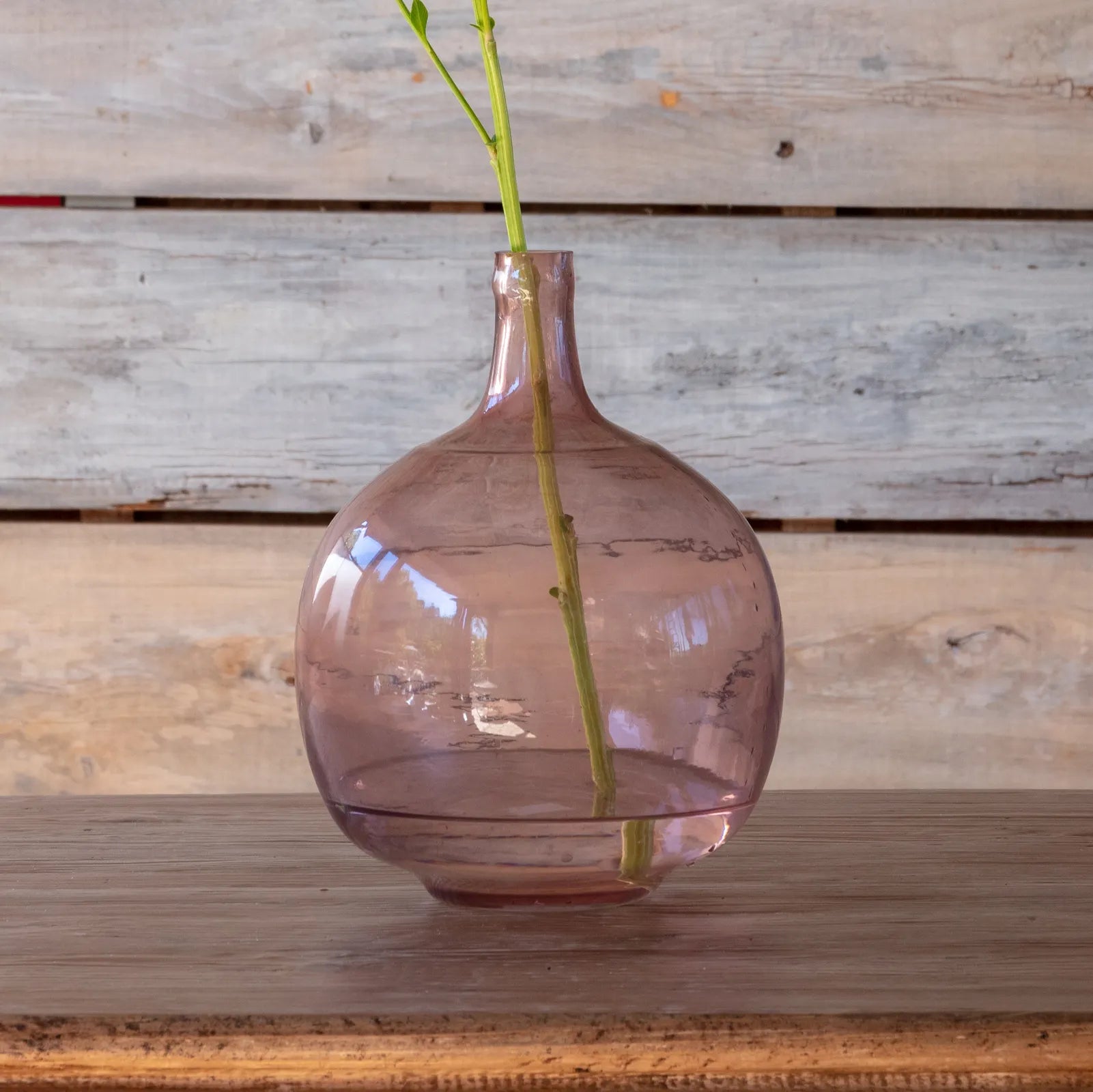 Botella Bottle Vases