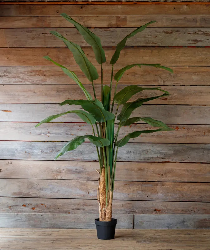 Faux Giant Strelitzia 118in.