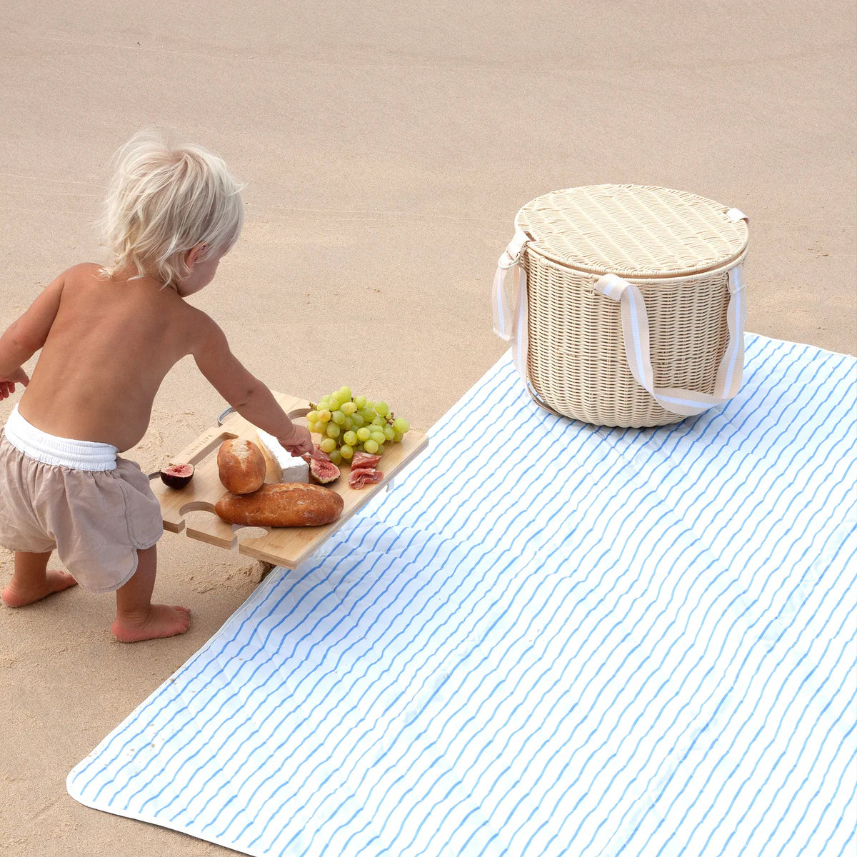 Portable Picnic Table