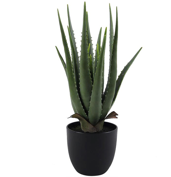Potted Faux Aloe Vera 18"
