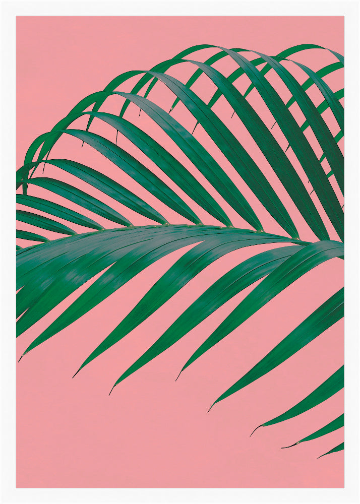 Editorial Vegitation Prints