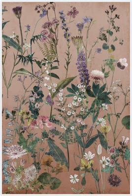 Wild Grace Prints
