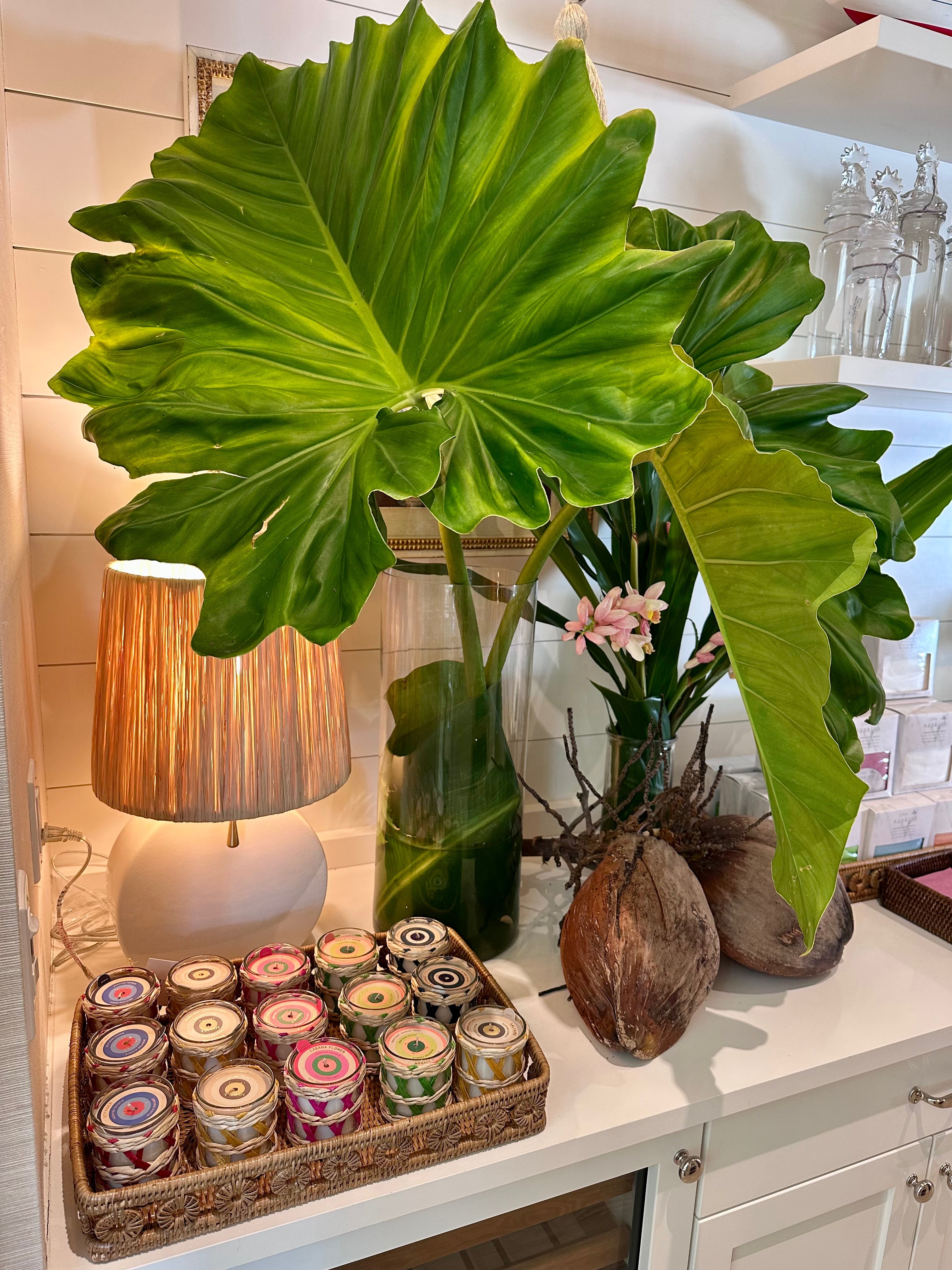 Floral + Garden