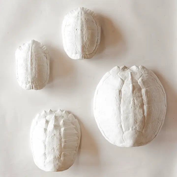 Cast Plaster Turtle Shells