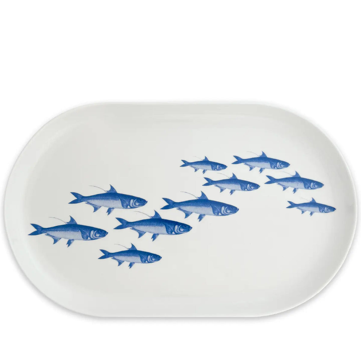 School of Fish Dinnerware