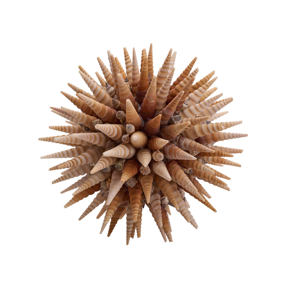 Marlin Shell Balls