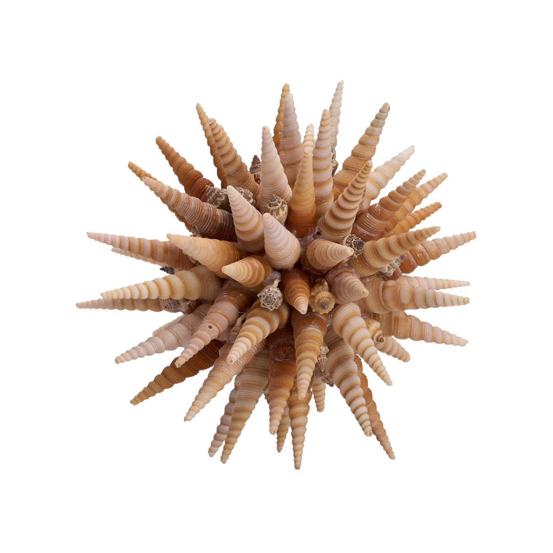 Marlin Shell Balls