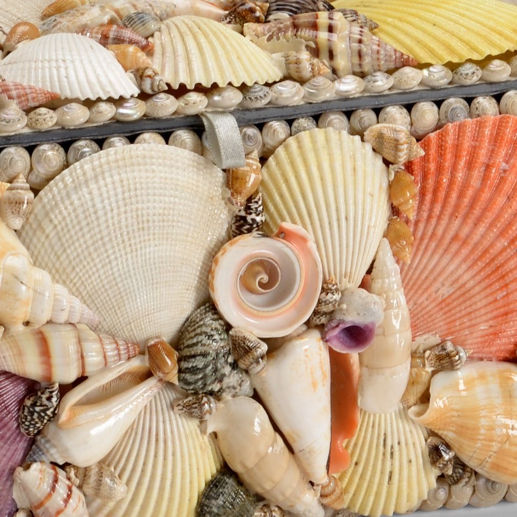 Decorative Shell Boxes