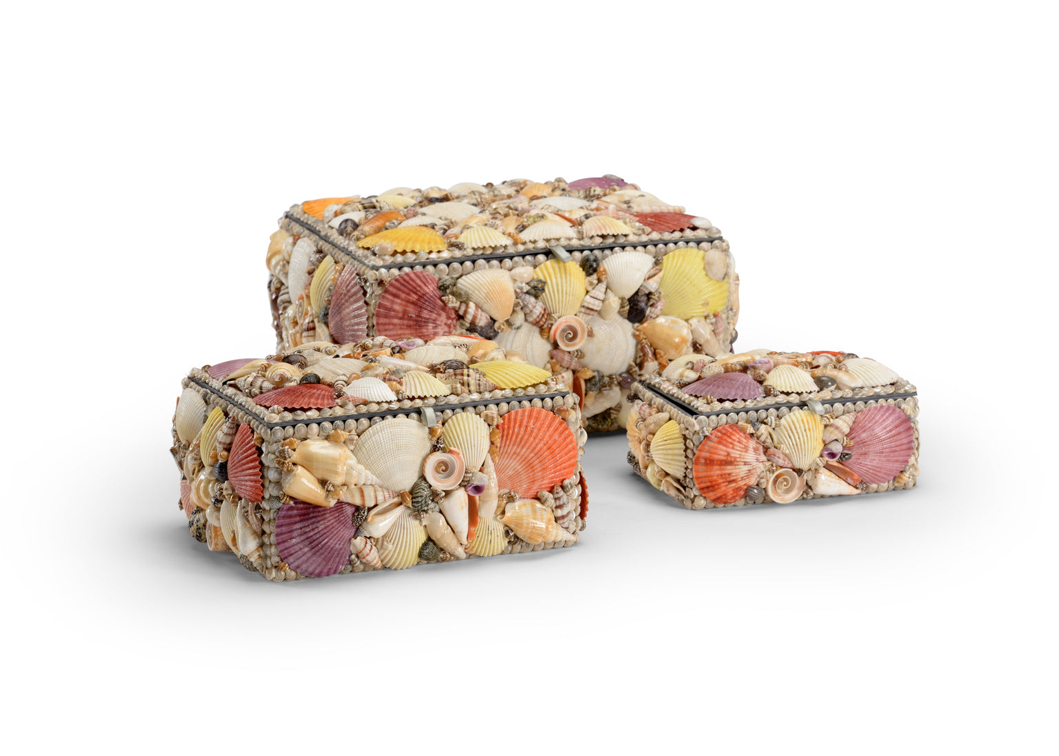 Decorative Shell Boxes