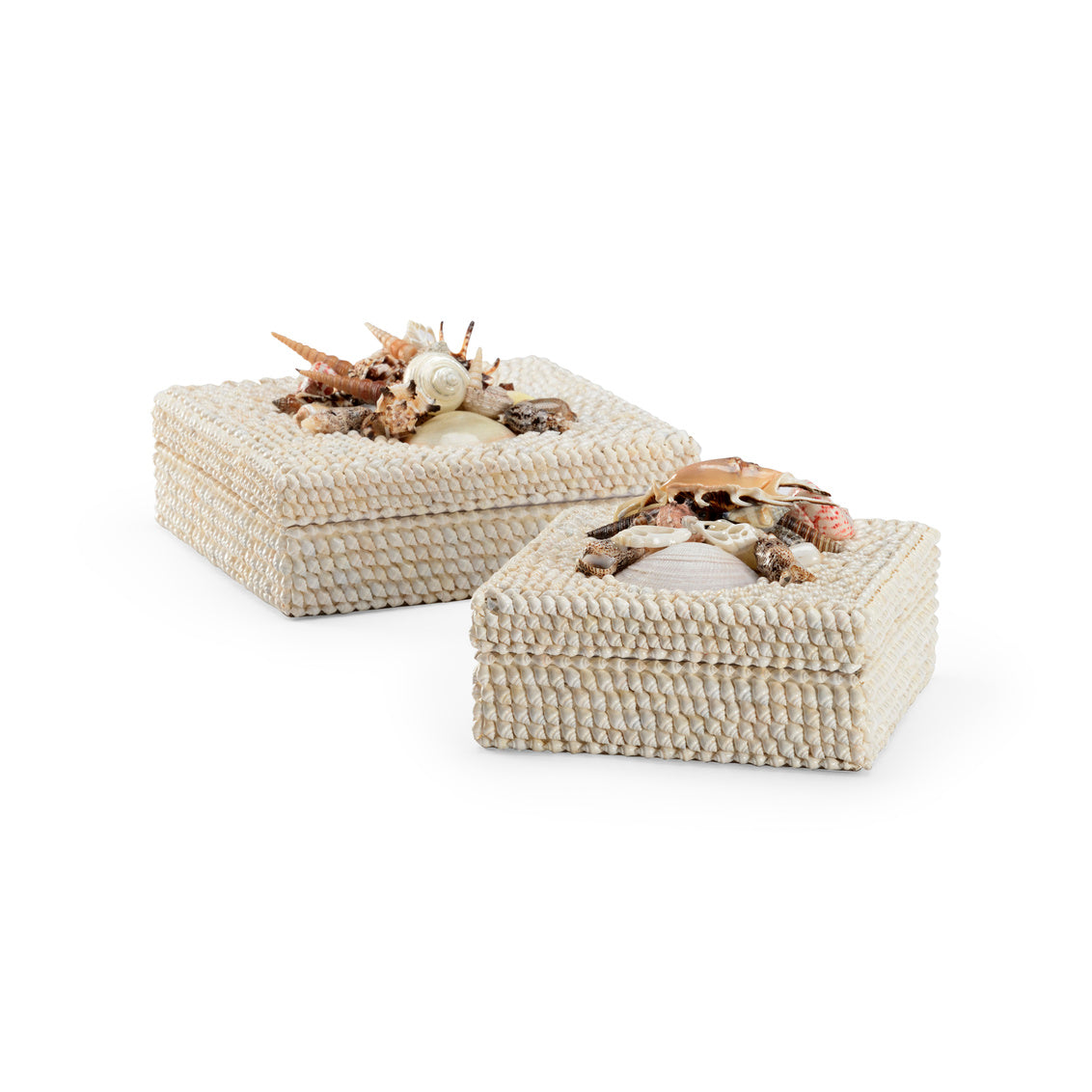 White Shell Boxes
