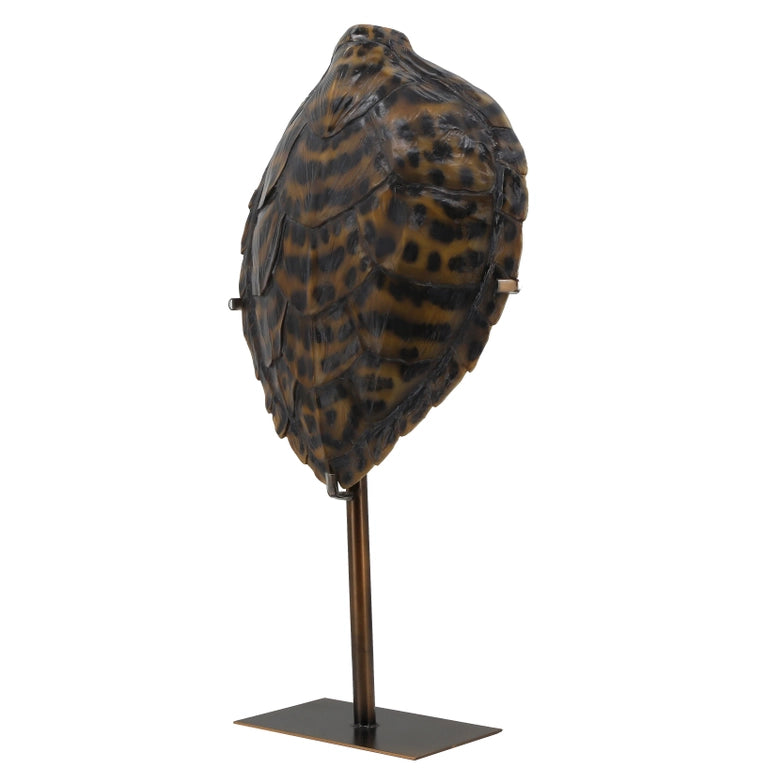 Green Turtle Shell on Stand