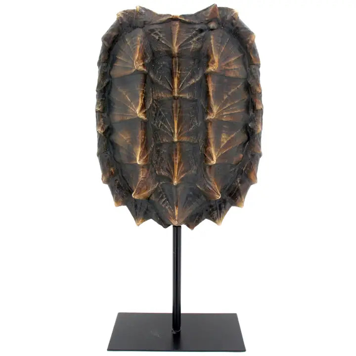 Snapping Turtle Shell on Stand