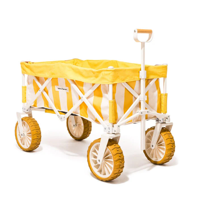 Beach Carts