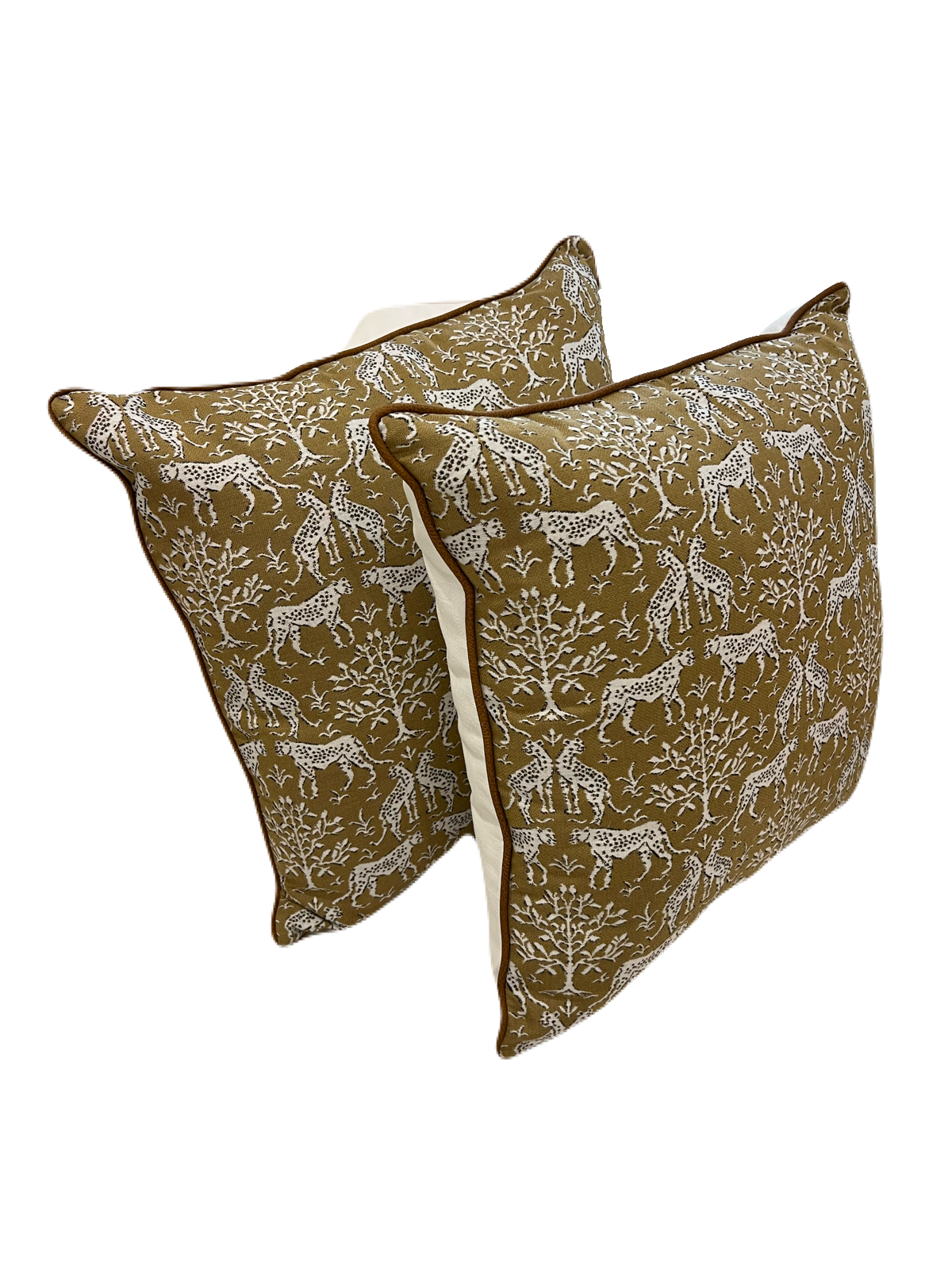 Funky Cheetah Ale 22 x 22 Outdoor Pillow