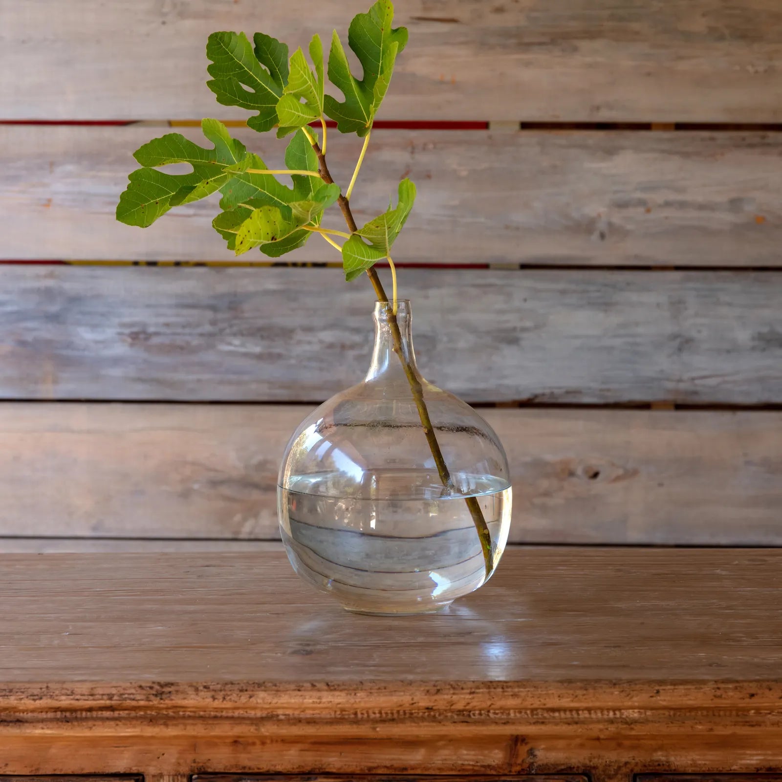 Botella Bottle Vases
