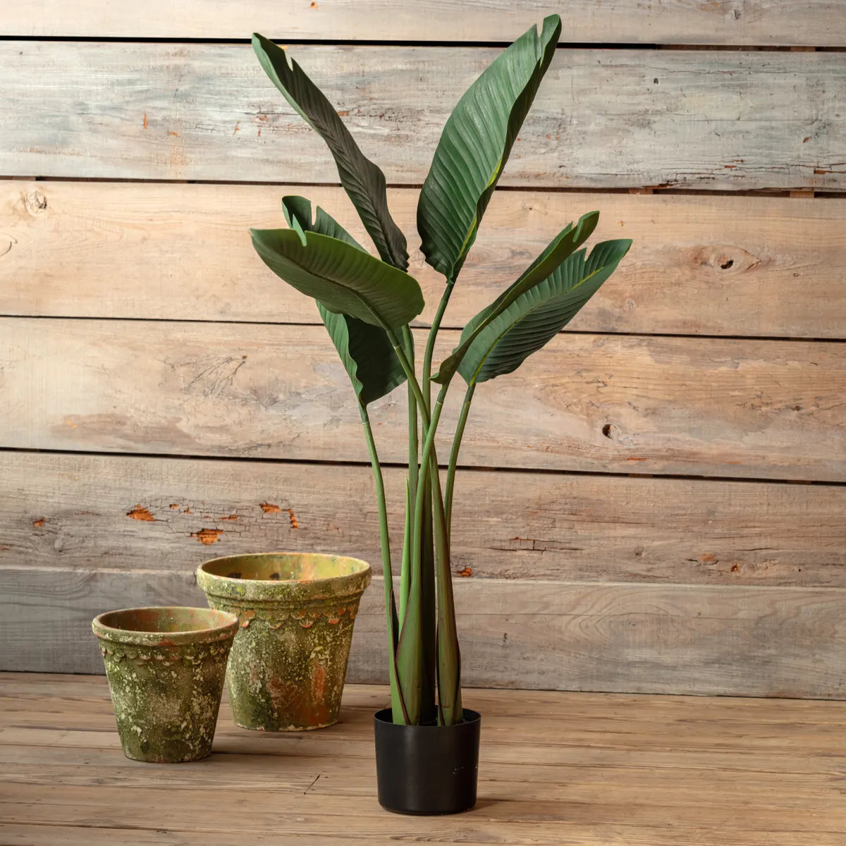 Faux Bird of Paradise 59"