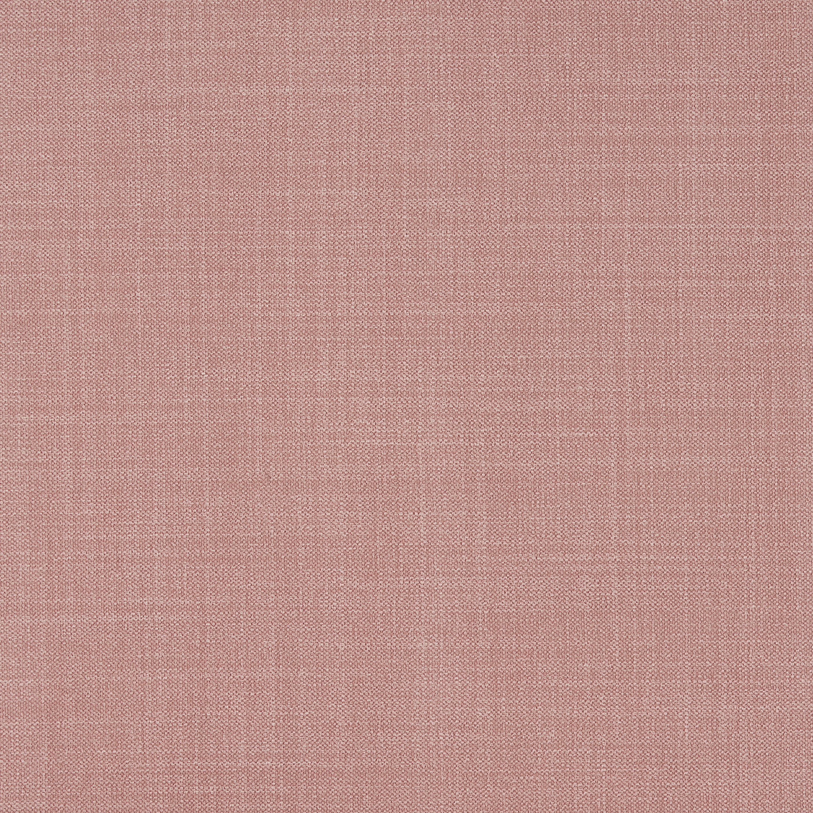 Lee Club Chair in Raspberry Cotton