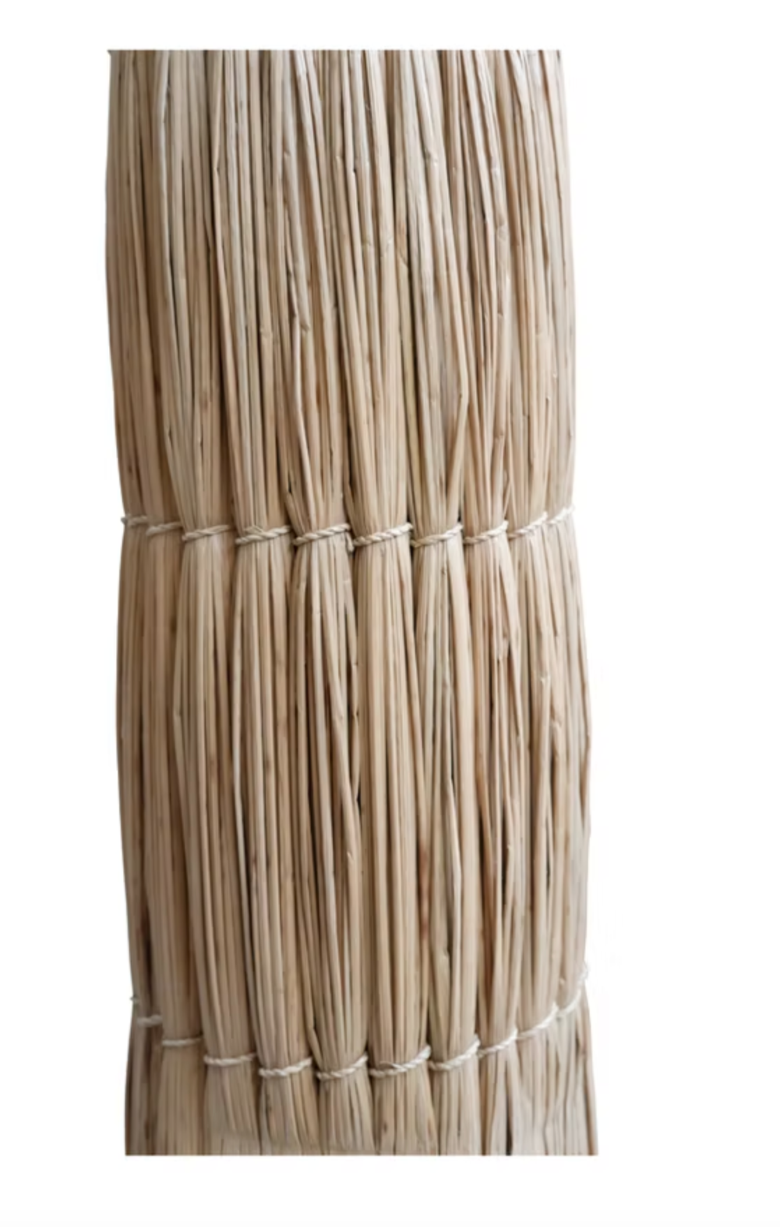 Natural Fiber Palm Tree