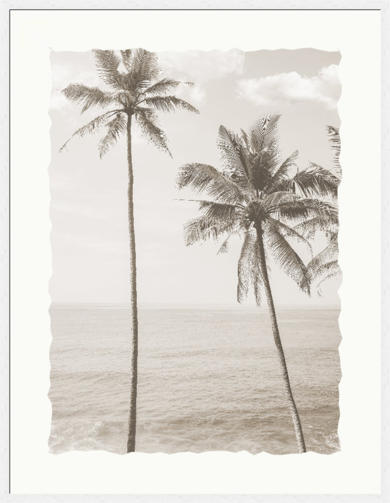Washed Fronds 1