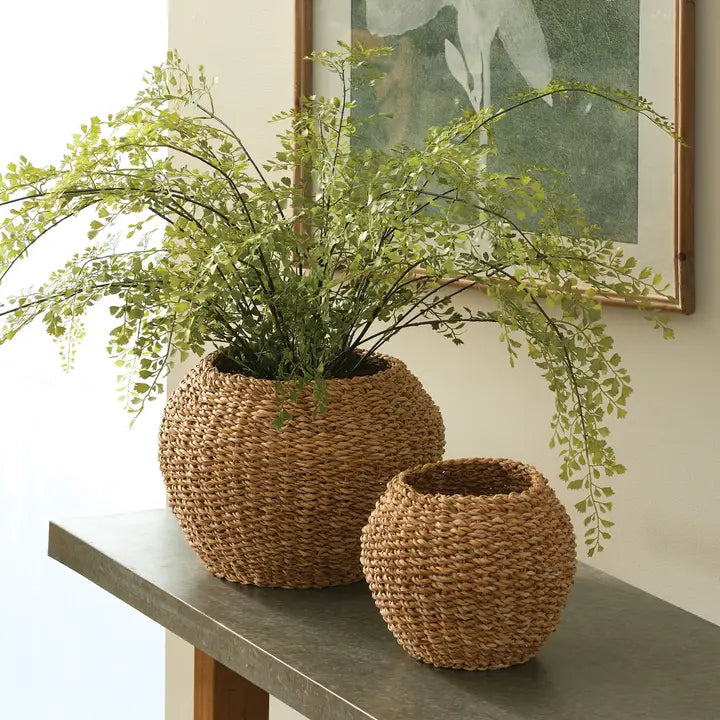 Seagrass Plant Baskets
