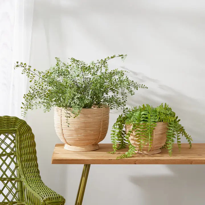 Cane Footed Bowls