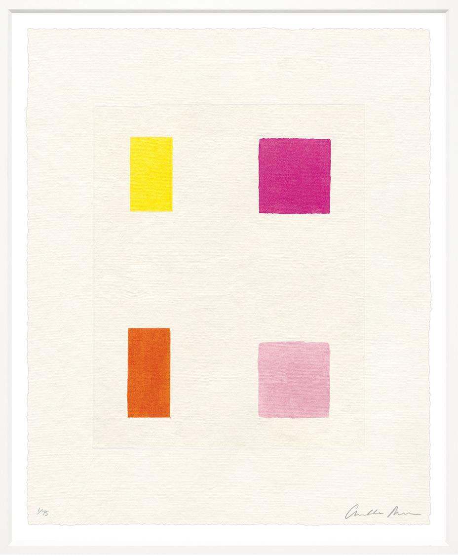 Palette of Colour Prints