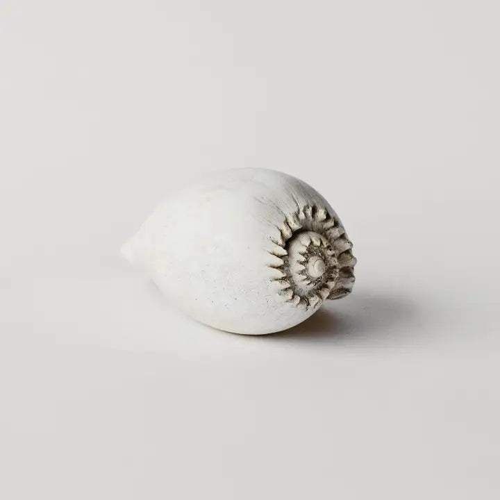 Plaster Amphora Melon Shell