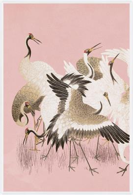 Curious Cranes Prints