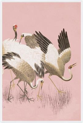 Curious Cranes Prints