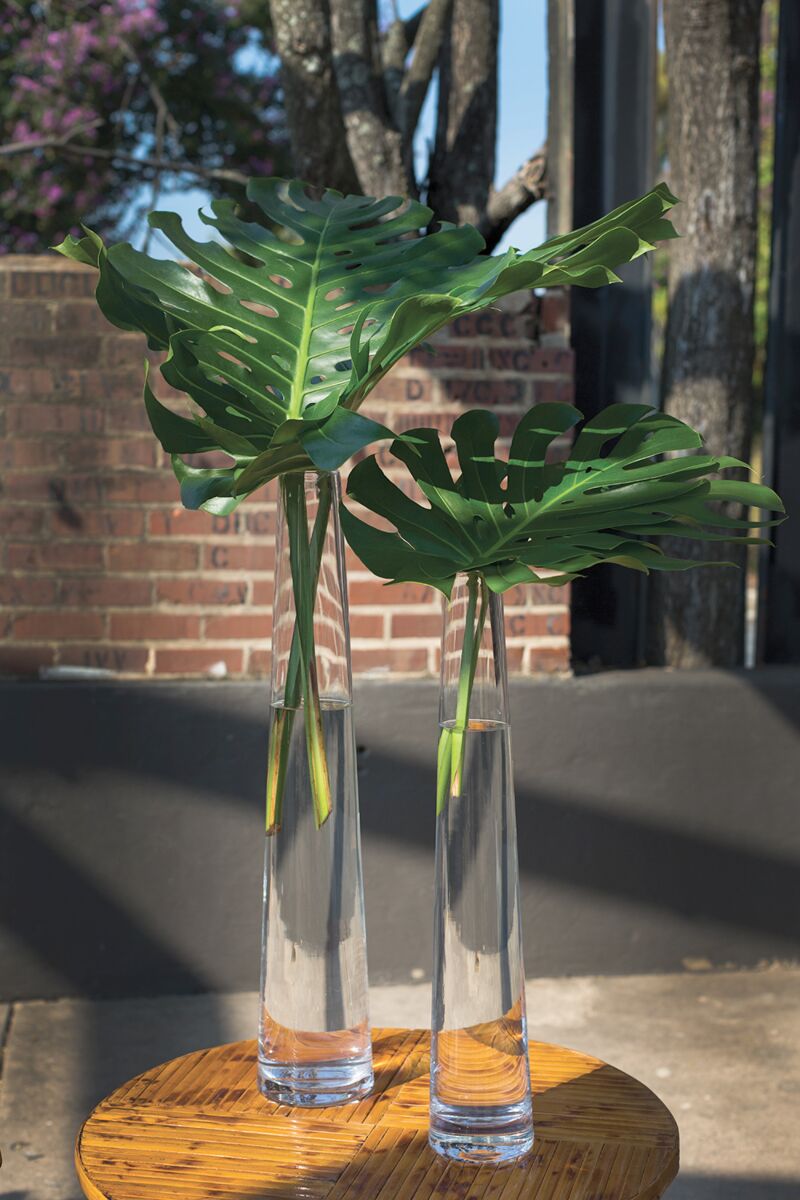 Julius Vase