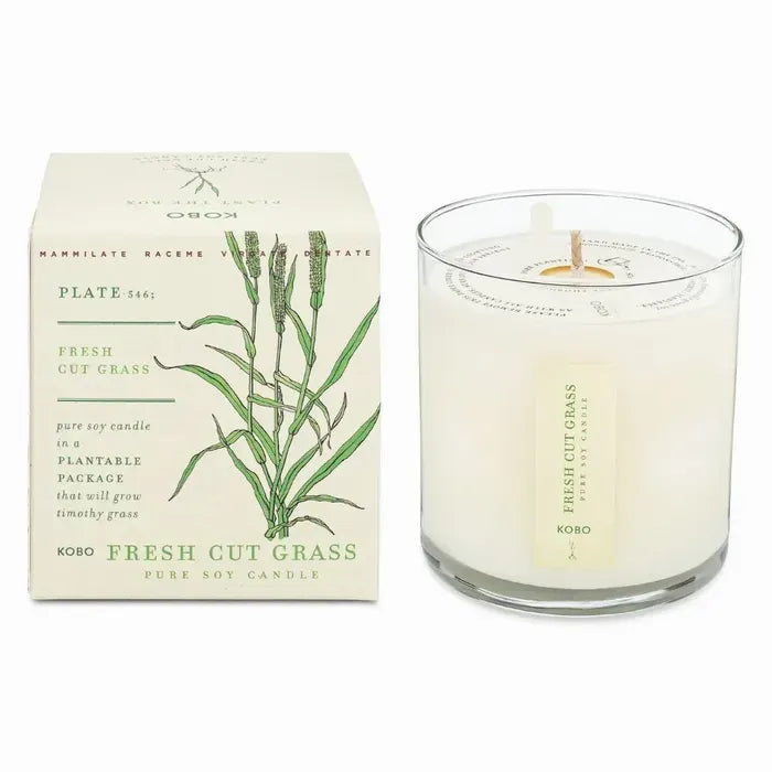Plant The Box Soy Candles