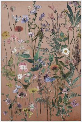 Wild Grace Prints