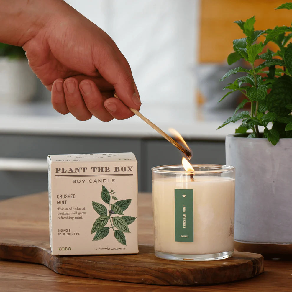 Plant The Box Soy Candles